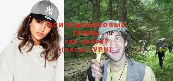 apvp Волосово