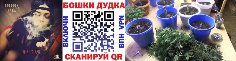 где продают   Весьегонск  Канабис Amnesia 